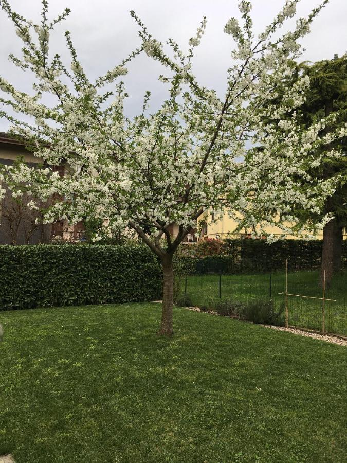 Appartamenti Francesco Peschiera del Garda Esterno foto